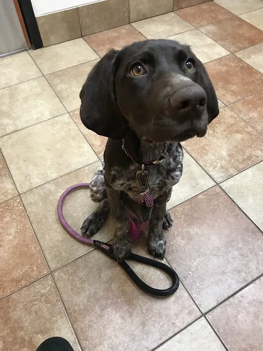 Banfield Pet Hospital Picture 6
