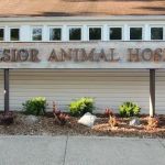 Excelsior Animal Hospital