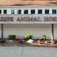 Excelsior Animal Hospital ico