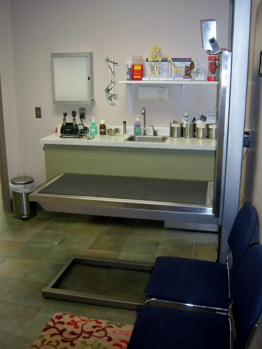 Excelsior Animal Hospital Picture 7