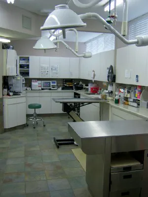 Excelsior Animal Hospital Picture 8