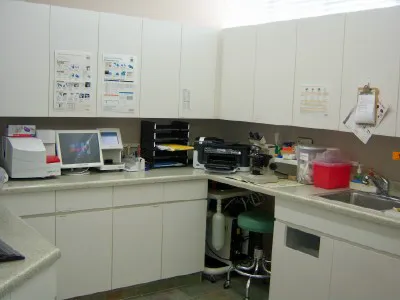 Excelsior Animal Hospital Picture 10