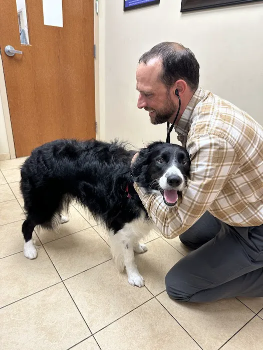 Lake Minnetonka Pet Wellness Center Picture 6