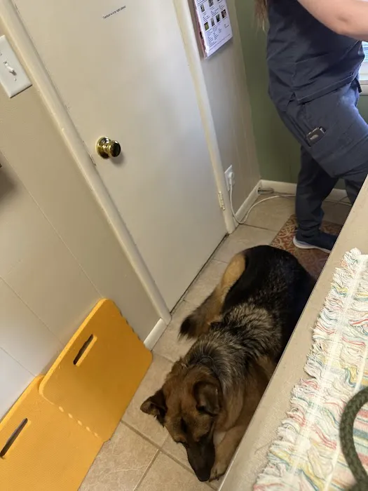 Lake Minnetonka Pet Wellness Center Picture 4