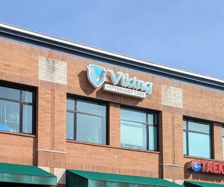 Viking Veterinary Care