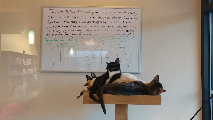 Viking Veterinary Care Picture 9
