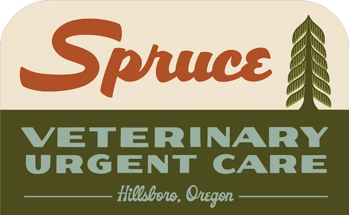 Spruce Veterinary Urgent Care Picture 5