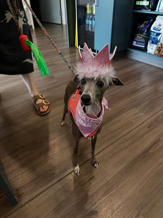 Amberglen Pet Care Picture 2