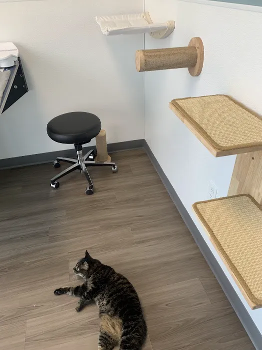 Amberglen Pet Care Picture 9