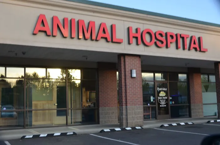 Riverview Animal Hospital Picture 7
