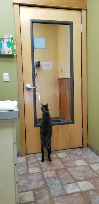 Riverview Animal Hospital Picture 4