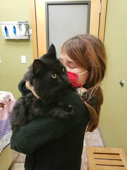 Riverview Animal Hospital Picture 5