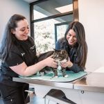 Vancouver Pet Urgent Care