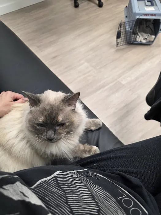 Vancouver Pet Urgent Care Picture 4