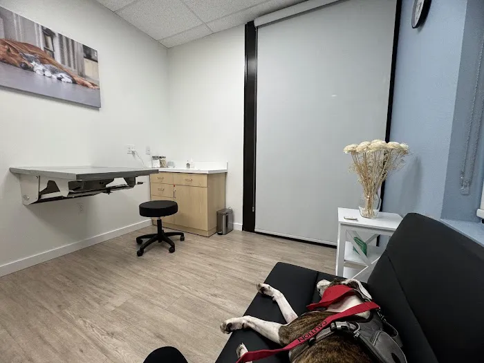 Vancouver Pet Urgent Care Picture 9