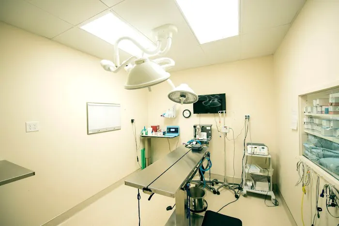 Cascade Park Animal Hospital Picture 5