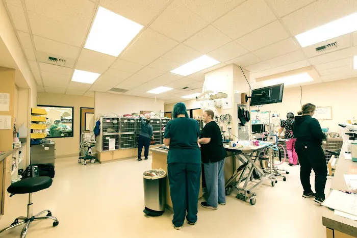 Cascade Park Animal Hospital Picture 4