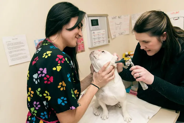 Cascade Park Animal Hospital Picture 1