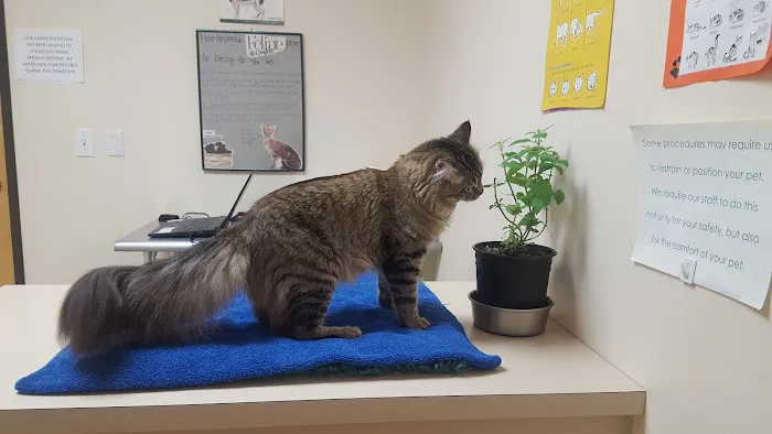 Cascade Park Animal Hospital Picture 9