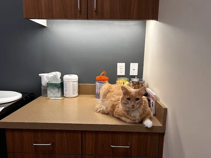 Red Maple Animal Hospital Picture 2