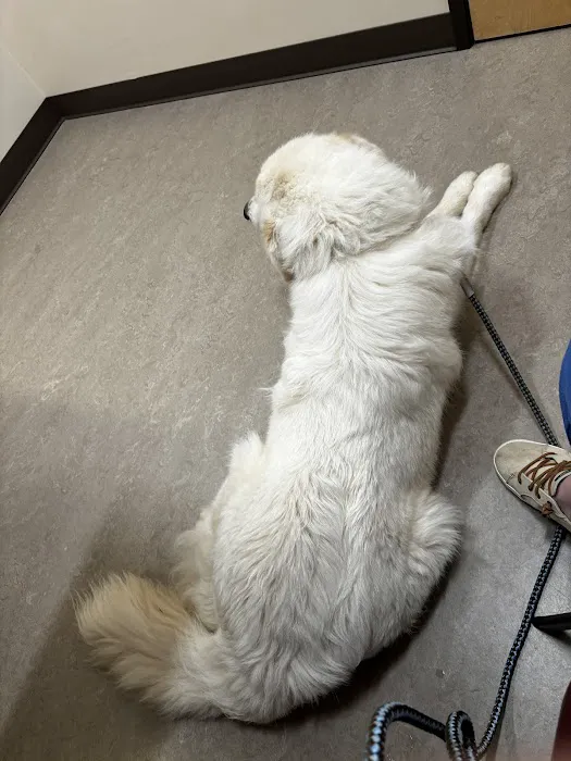 Red Maple Animal Hospital Picture 9