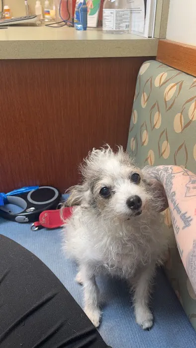 Gresham Animal Hospital Picture 4