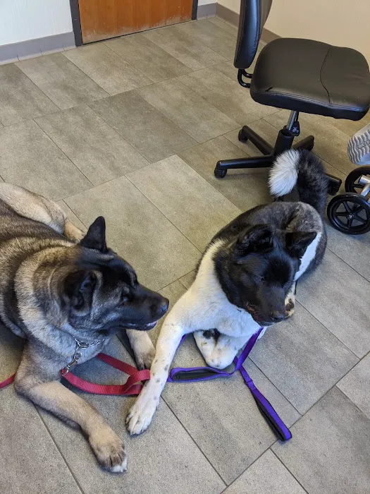 Gresham Animal Hospital Picture 9