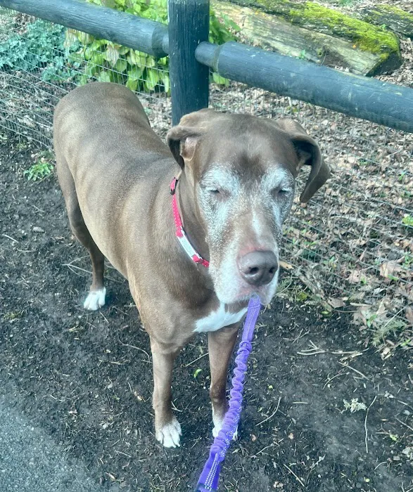 Gresham Animal Hospital Picture 10