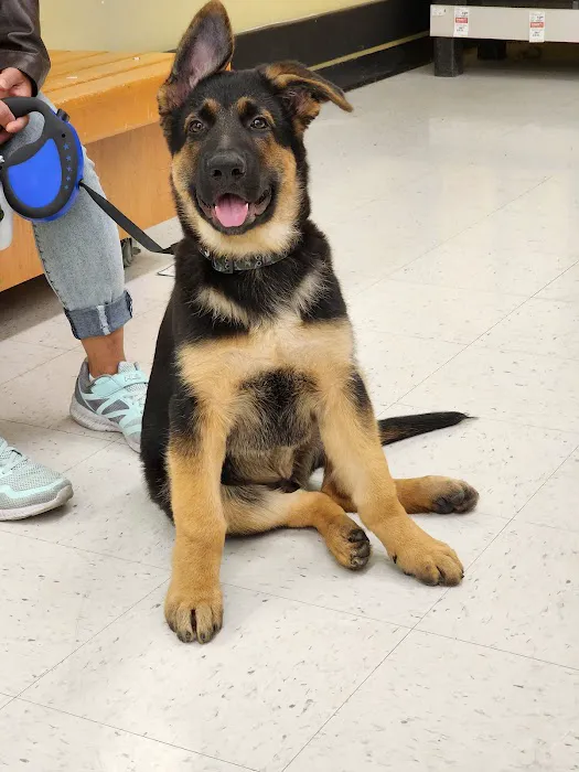 Banfield Pet Hospital Picture 5