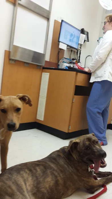 Banfield Pet Hospital Picture 9