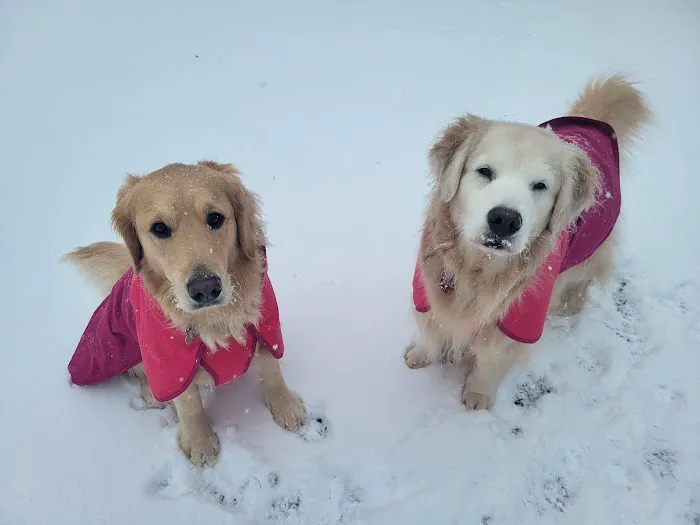 Dogwood Pet Hospital Picture 2