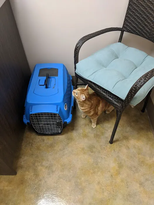 Dogwood Pet Hospital Picture 8