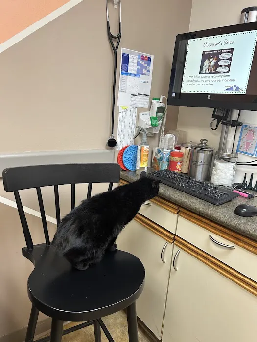 Dogwood Pet Hospital Picture 7