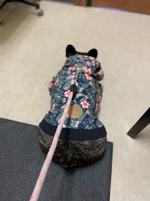 Mt. Hood Pet Medical Picture 9