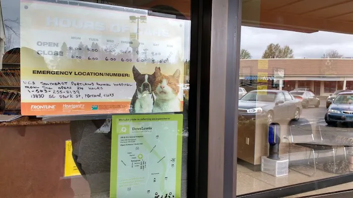 Companion Pet Clinic Picture 5