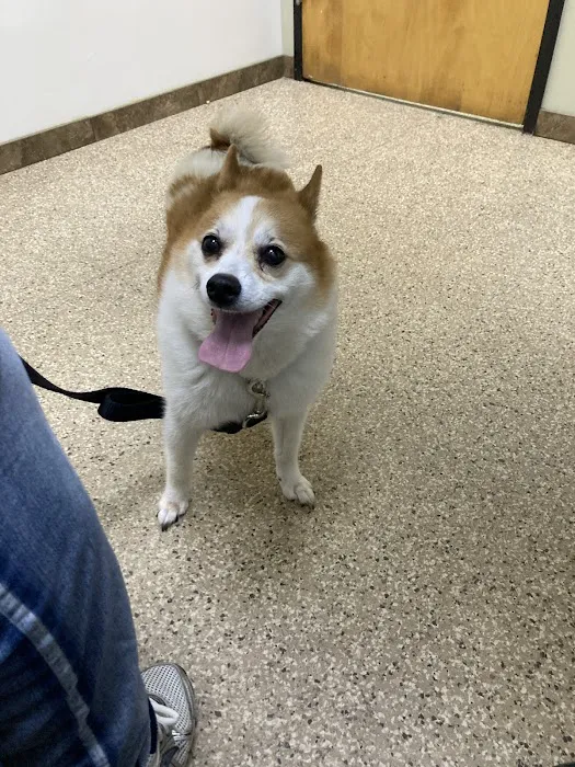 Paws & Claws Pet Medical Center Picture 1