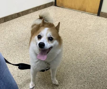 Paws & Claws Pet Medical Center