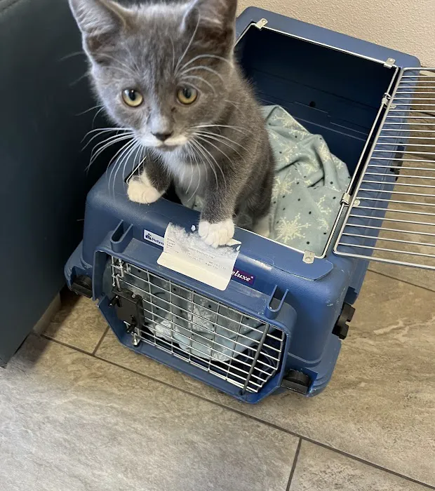 St. Francis Animal Hospital Picture 9