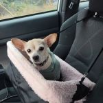 Banfield Pet Hospital
