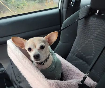 Banfield Pet Hospital