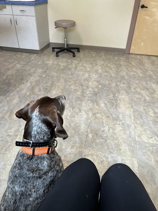 Whipple Creek Veterinary Hospital Picture 1