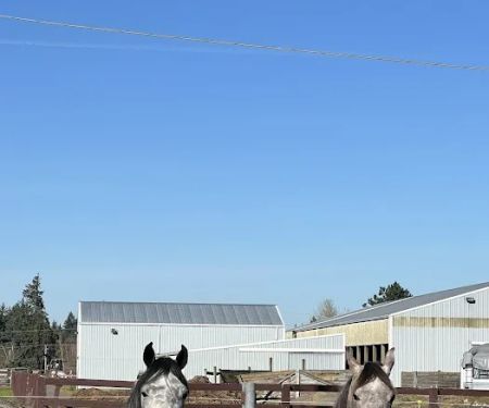 Ridgefield Equine Clinic
