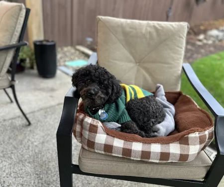 Banfield Pet Hospital