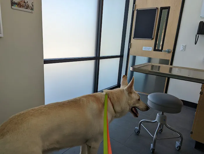 Banfield Pet Hospital Picture 6