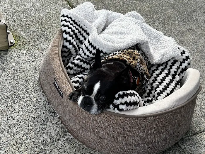 Banfield Pet Hospital Picture 10