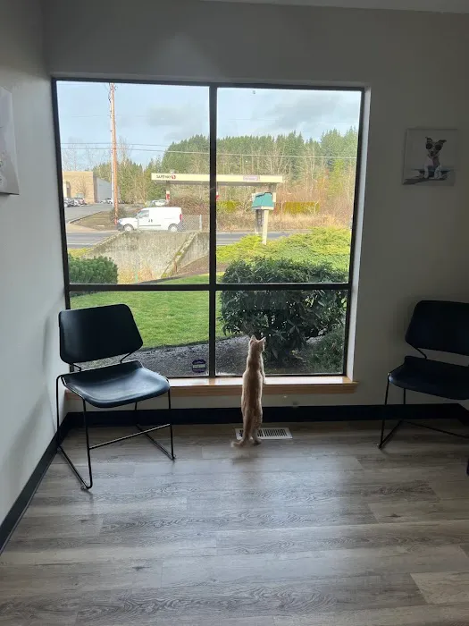 Pine Point Animal Hospital Picture 9