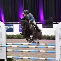 Oregon Equine ico