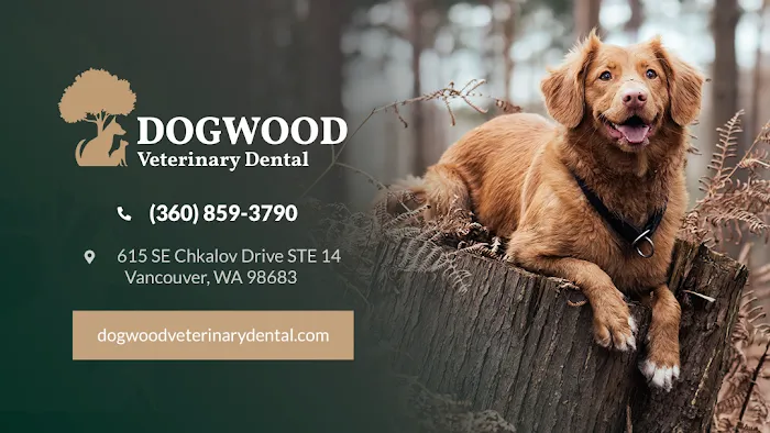 Dogwood Veterinary Dental Picture 3