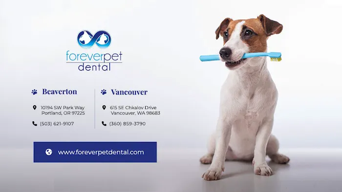 Dogwood Veterinary Dental Picture 10