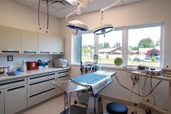 Hearthwood Veterinary Hospital Picture 2